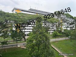 Blk 117 Kebun Baru Heights (Ang Mo Kio), HDB 4 Rooms #448791751